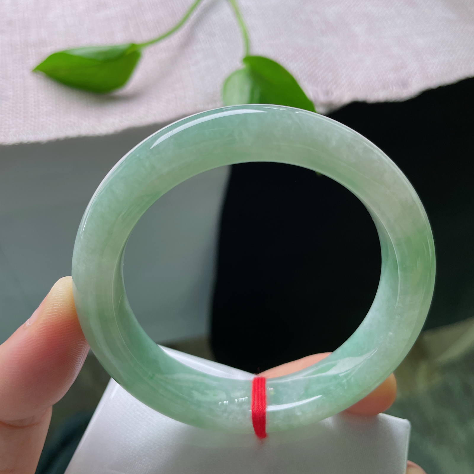 54.8/12.4/8.6，绿底正圈，水润细腻，种老，不与群芳争艳丽，独留雅韵绕腕摇。皮纹