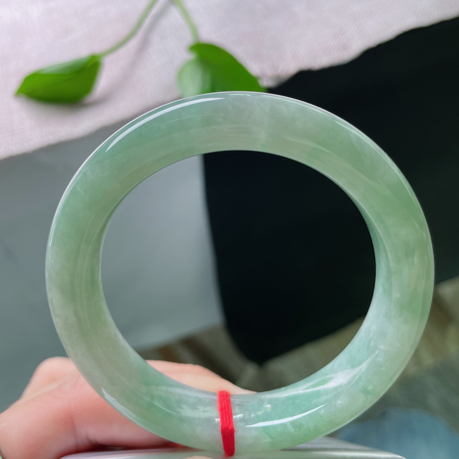 54.8/12.4/8.6，绿底正圈，水润细腻，种老，不与群芳争艳丽，独留雅韵绕腕摇。皮纹