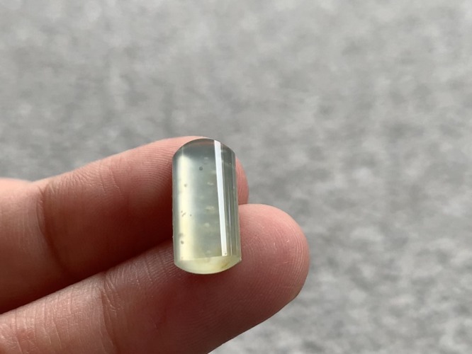 ️ 黄马鞍