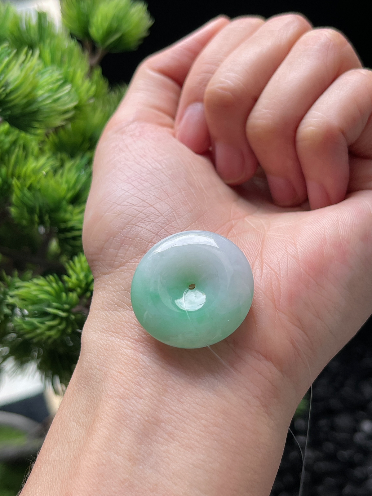 翡翠糯化种飘绿平安扣