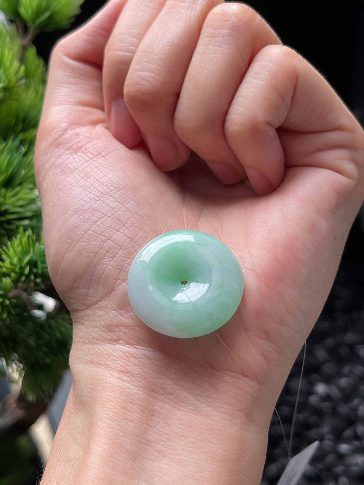 翡翠糯化种飘绿平安扣