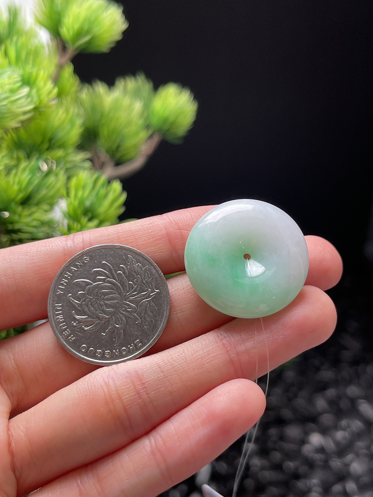 翡翠糯化种飘绿平安扣