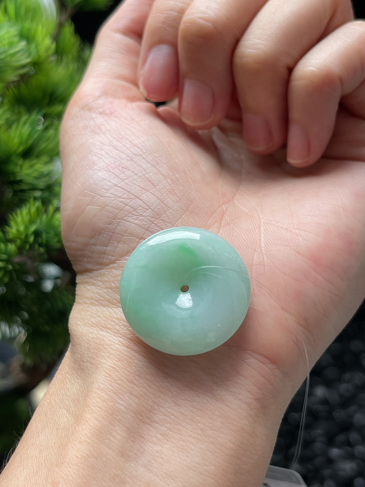 翡翠糯化种飘绿平安扣