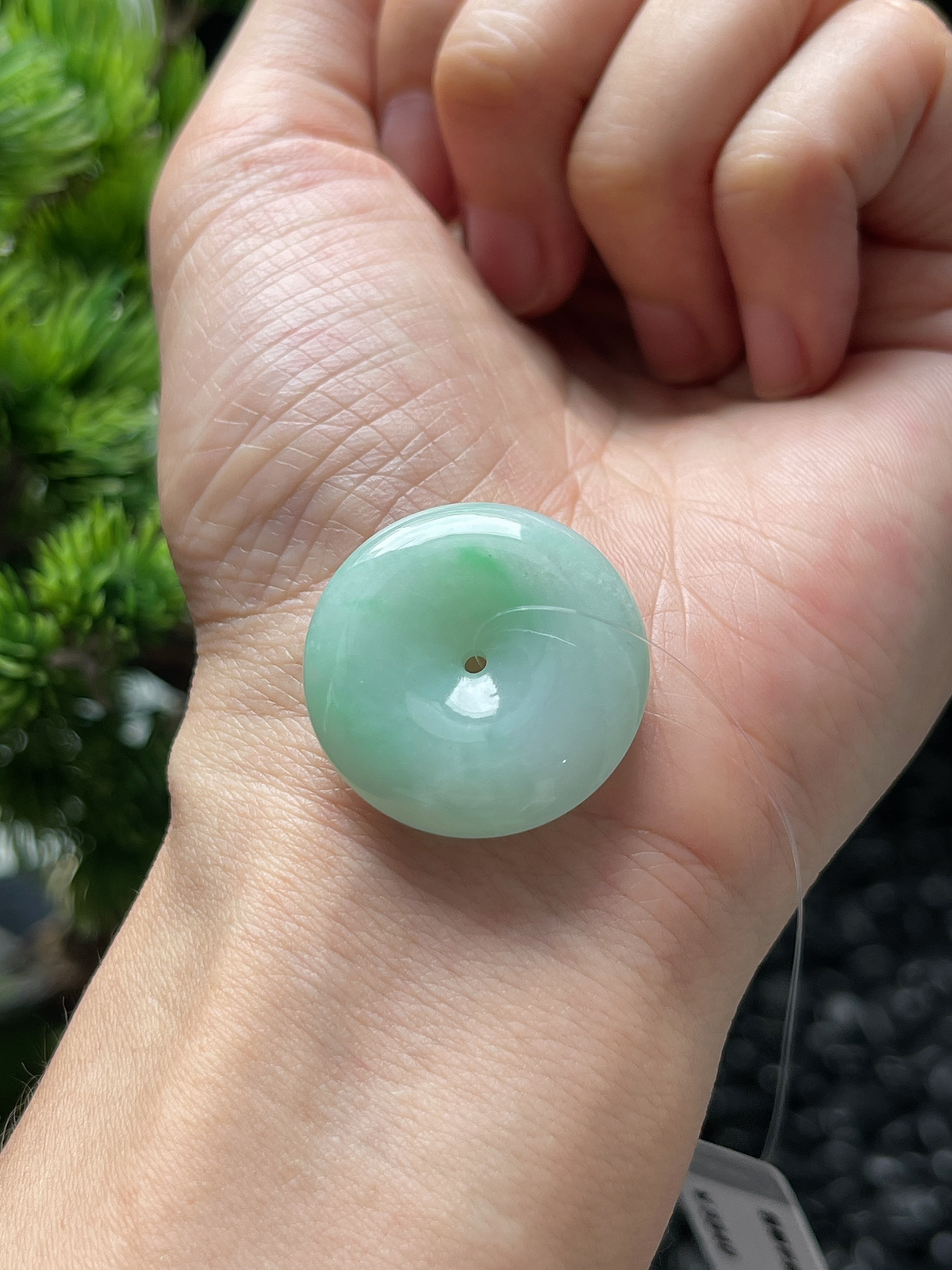 翡翠糯化种飘绿平安扣