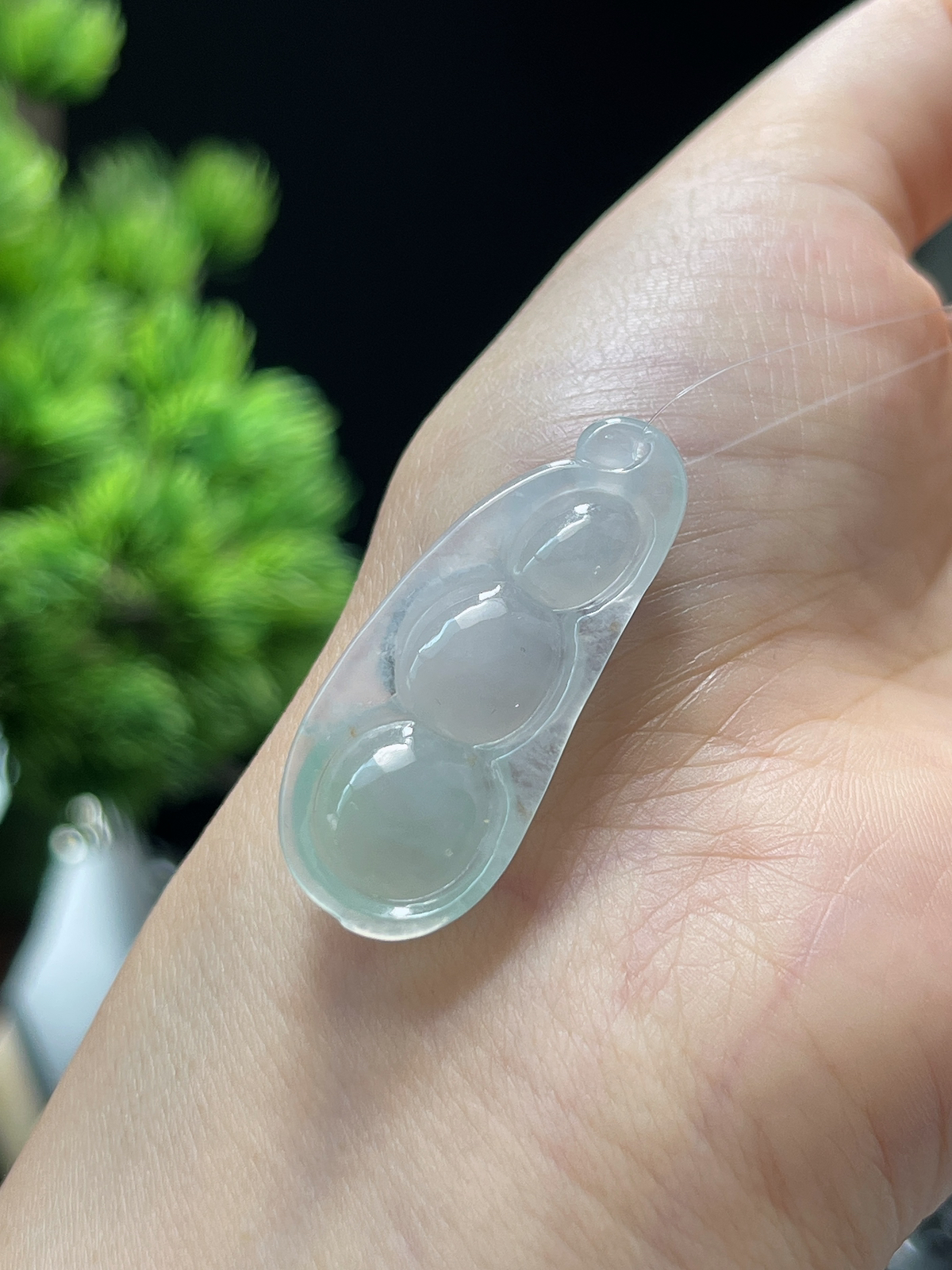 翡翠冰糯淡绿圆润四季豆