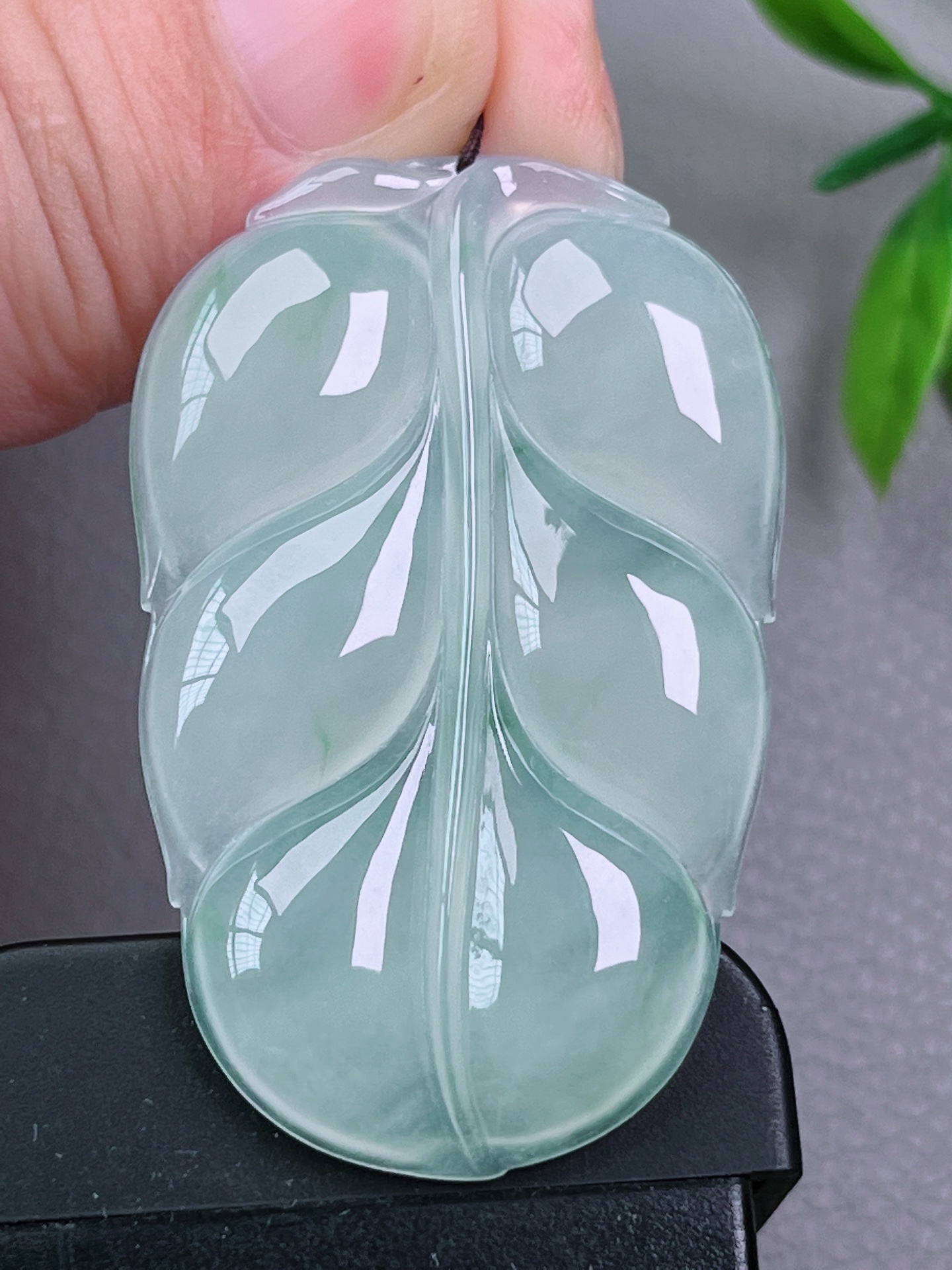 高冰种叶子，无裂，细腻油洁，冰透水润，起荧光，尺寸：49-31-5.4