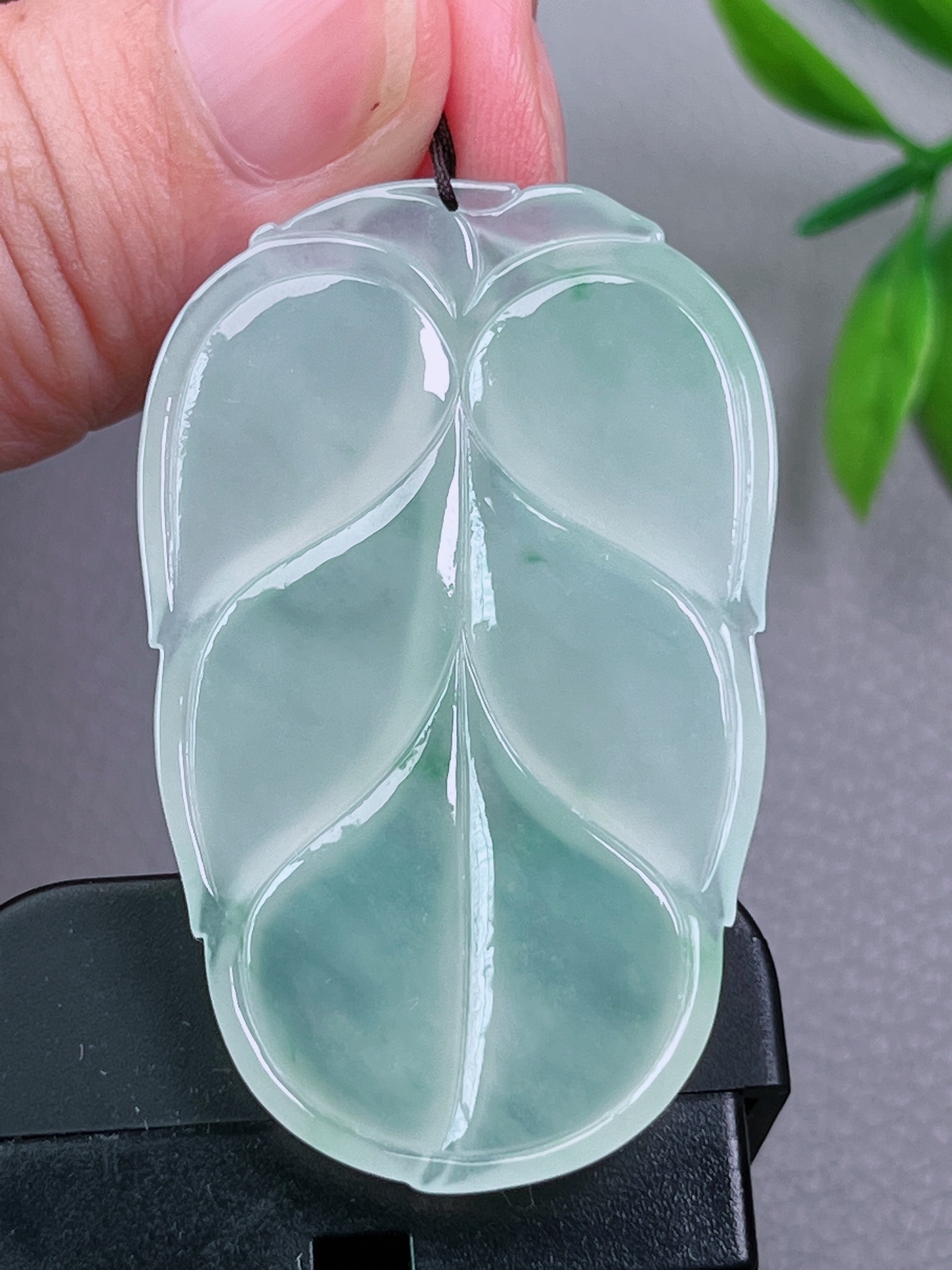 高冰种叶子，无裂，细腻油洁，冰透水润，起荧光，尺寸：49-31-5.4