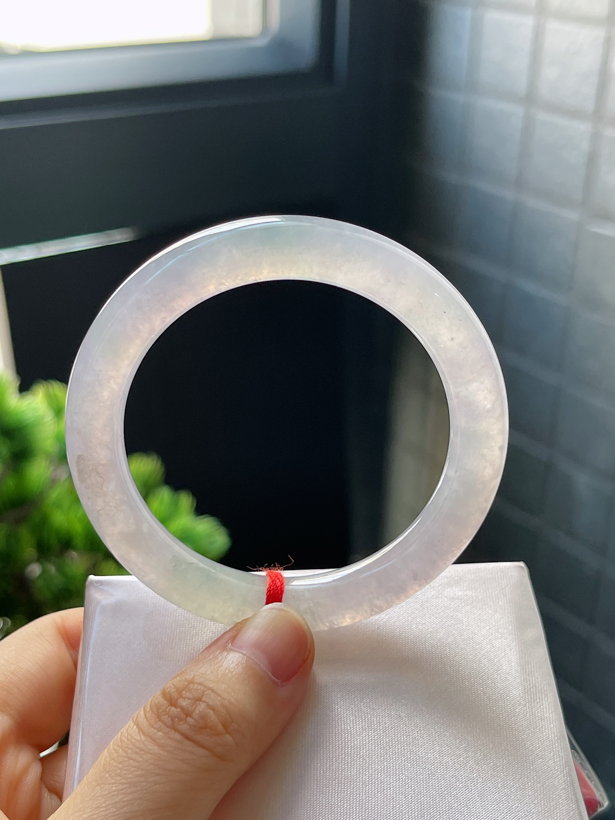 圆条50.2，冰春彩美人条