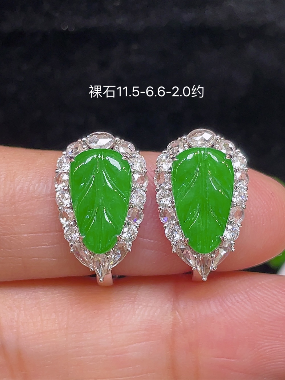 【高冰正阳绿，叶子耳扣】大件饱满，通透水润，玉质细腻，翠色鲜艳，18k金奢华钻石镶嵌️，11.5-