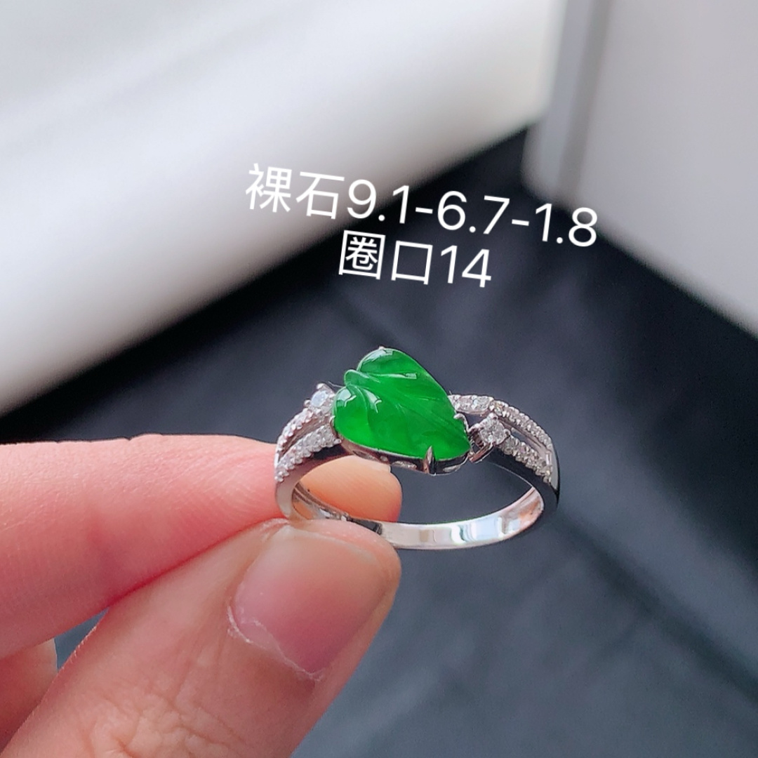 冰阳绿树叶女戒。 品相喜悦，饱满底子细腻，佩戴优雅灵气货号51531，9.1-6.7-1.8