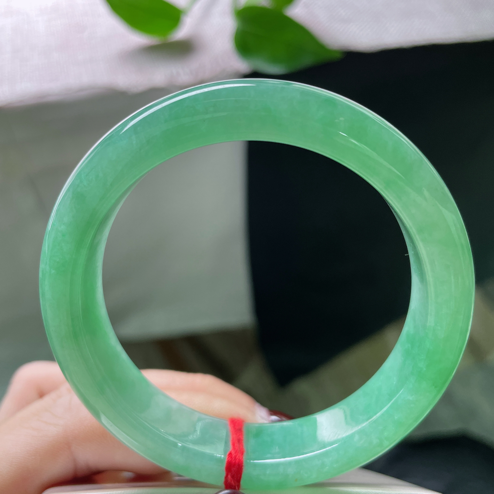 55.6/13/8.4，满绿正圈，清丽脱俗，像截了一段雨林间的晨雾，锁进冰种的魂魄里。ss51686a..