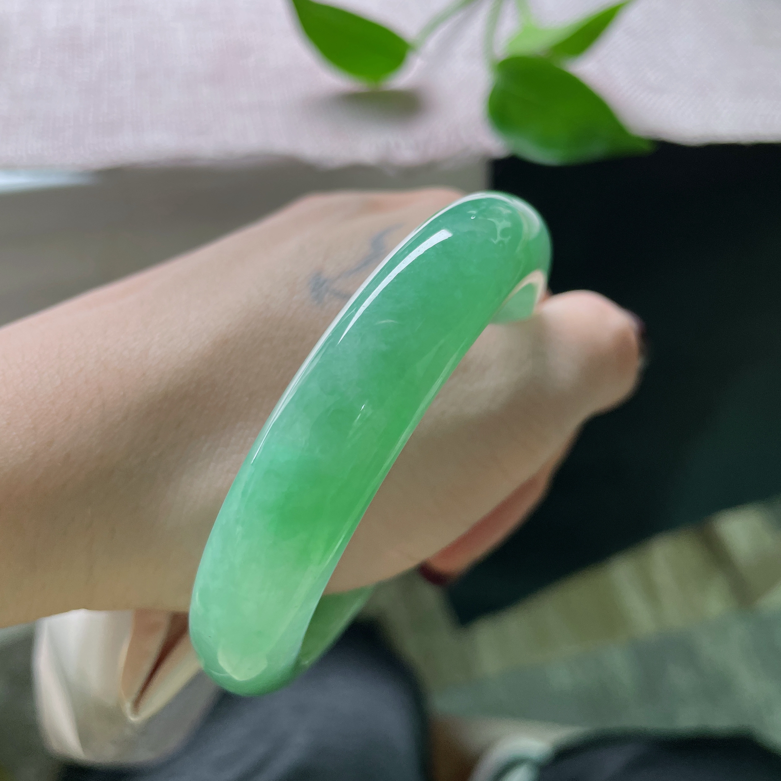 55.6/13/8.4，满绿正圈，清丽脱俗，像截了一段雨林间的晨雾，锁进冰种的魂魄里。ss51686a..