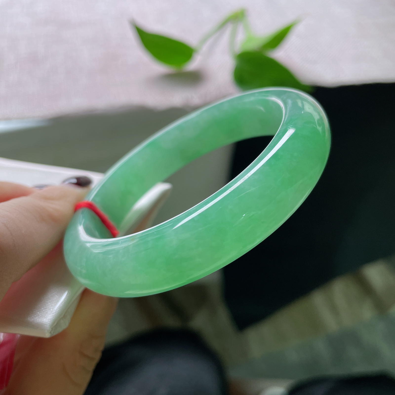55.6/13/8.4，满绿正圈，清丽脱俗，像截了一段雨林间的晨雾，锁进冰种的魂魄里。ss51686a..