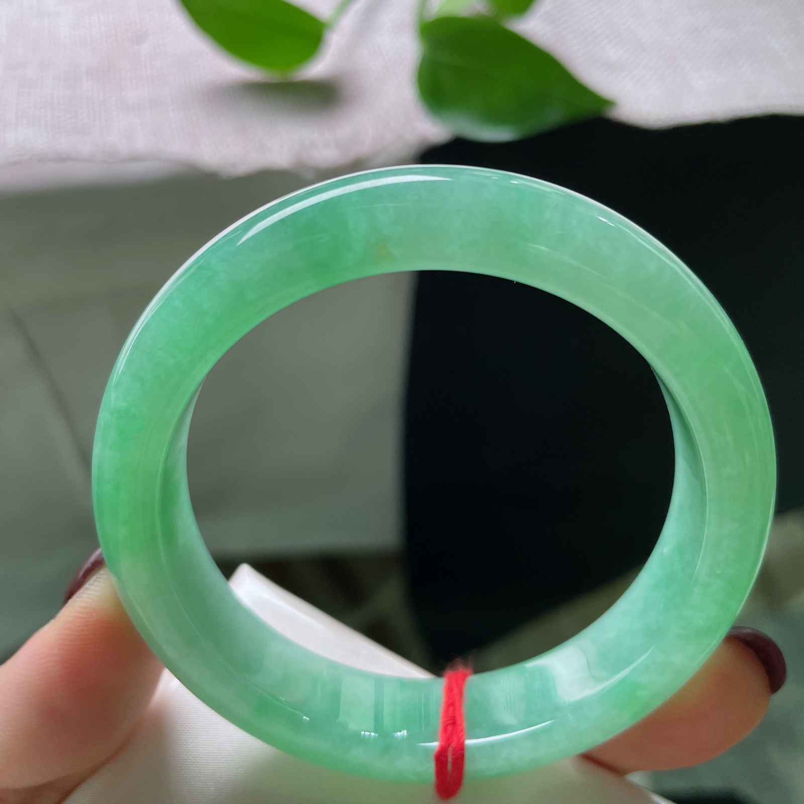 55.6/13/8.4，满绿正圈，清丽脱俗，像截了一段雨林间的晨雾，锁进冰种的魂魄里。ss51686a..