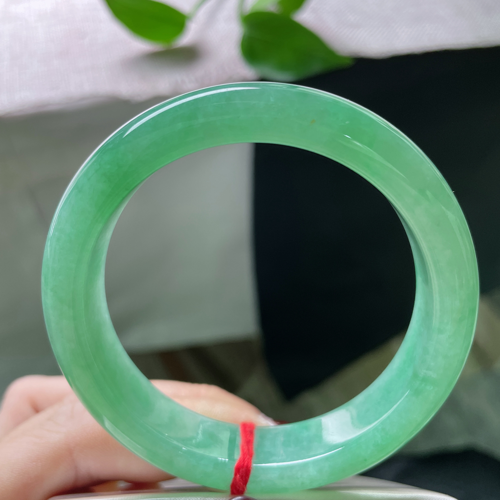 55.6/13/8.4，满绿正圈，清丽脱俗，像截了一段雨林间的晨雾，锁进冰种的魂魄里。ss51686