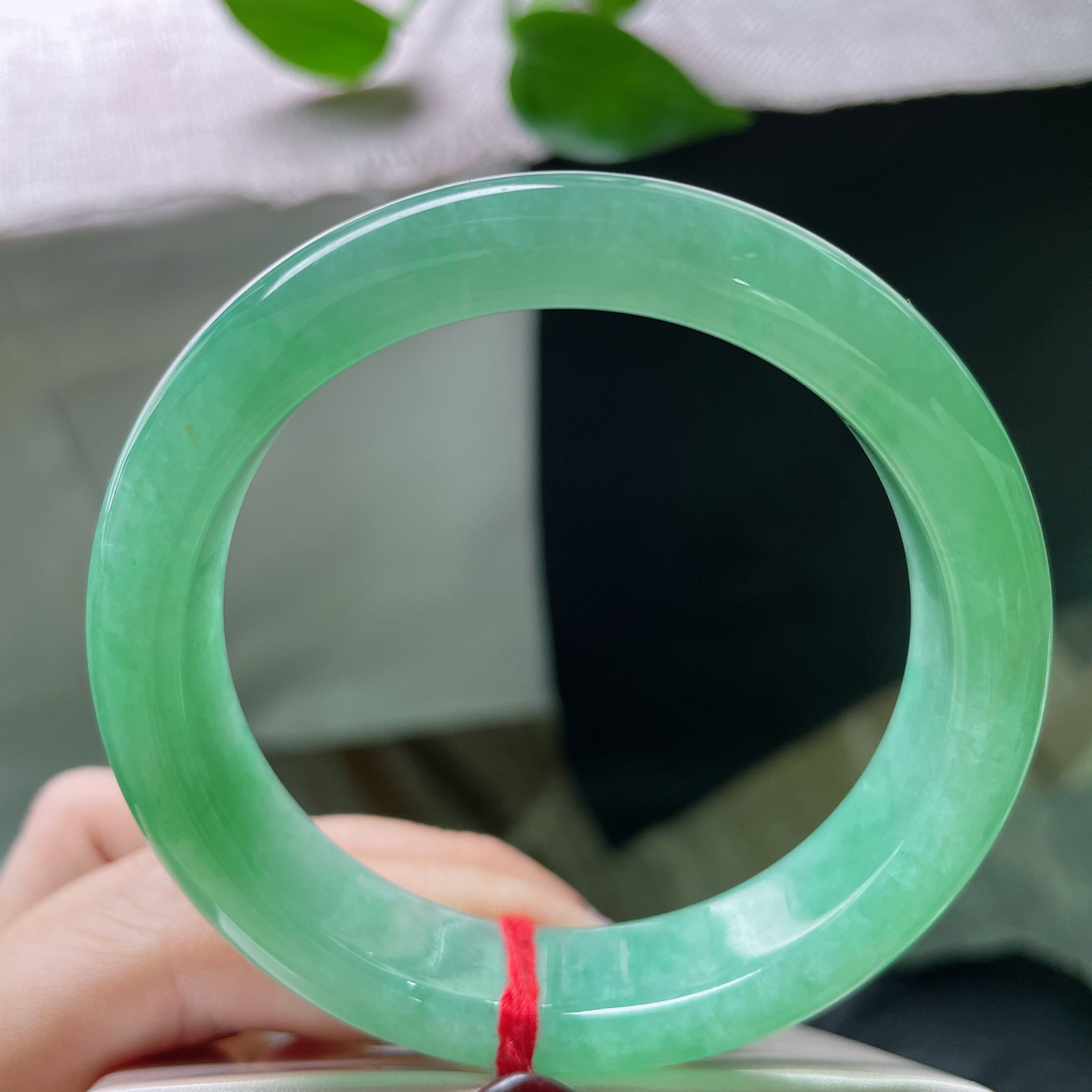 55.6/13/8.4，满绿正圈，清丽脱俗，像截了一段雨林间的晨雾，锁进冰种的魂魄里。ss51686a..
