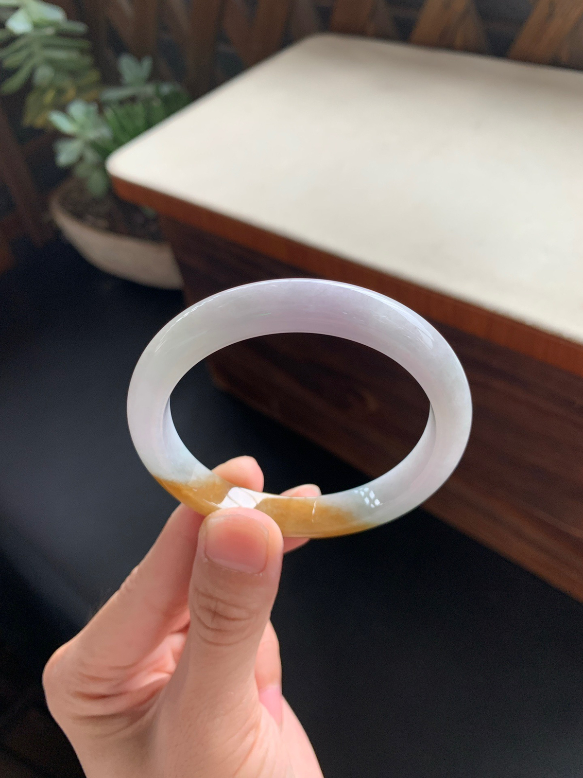 52.7圈口正圈黄翡手镯