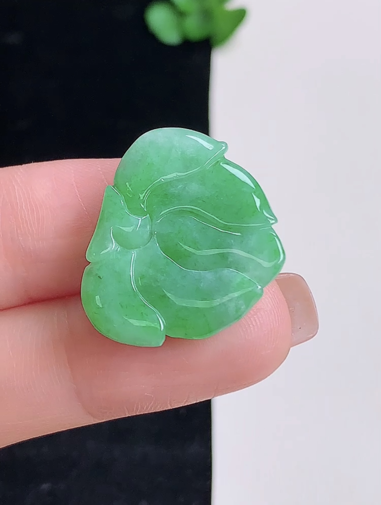 飘绿莲花，完美，尺寸19.8/23.9/7.8，