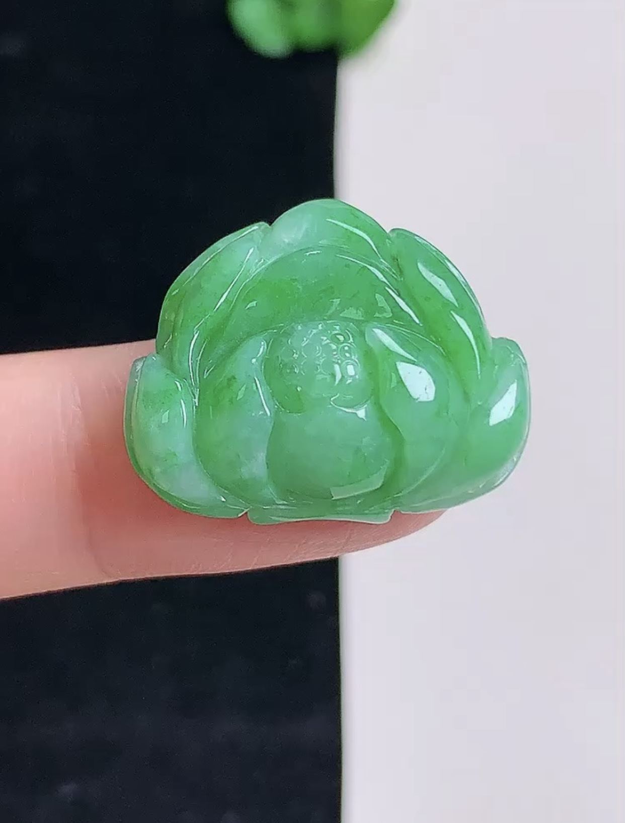 飘绿莲花，完美，尺寸19.8/23.9/7.8，