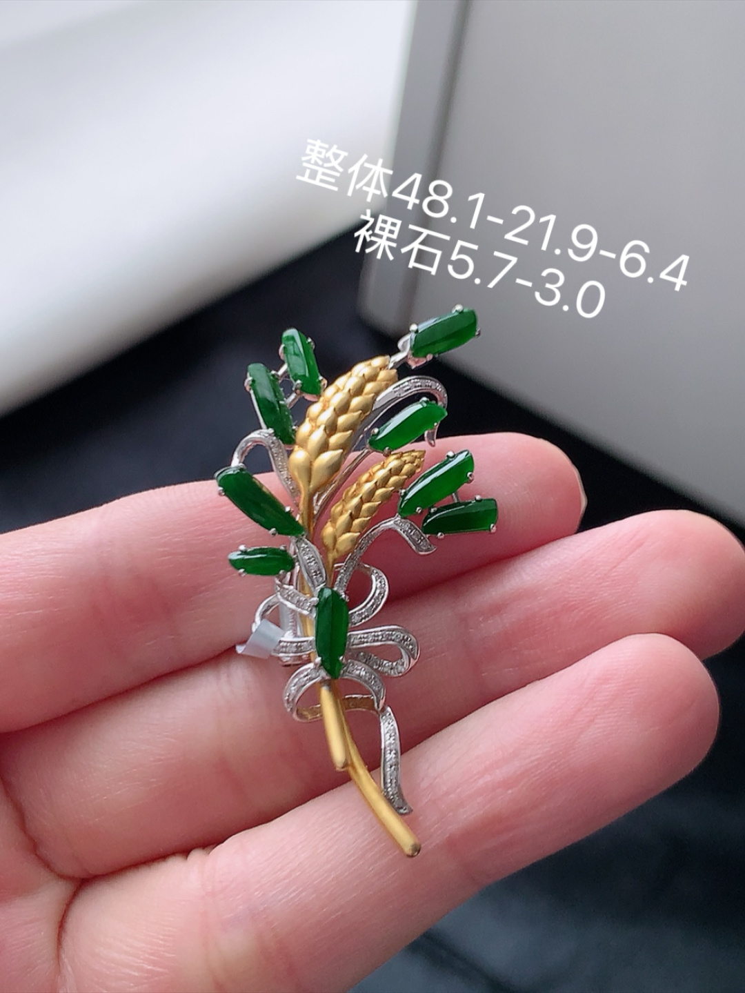冰阳绿胸针 （吊坠 两用款）底子细腻柔和，品相喜悦，佩戴清新甜美 货号41606，48.1-21.9
