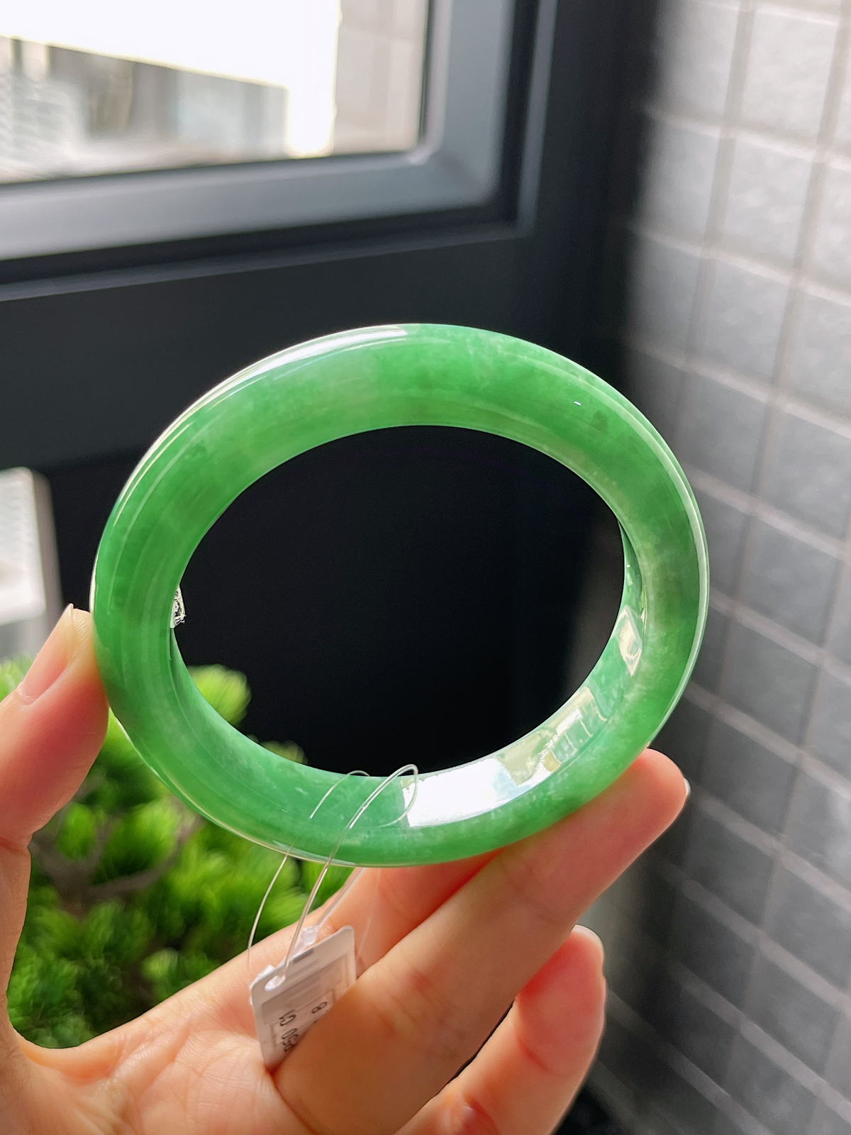 正圈54.8圈口，翡翠糯化种绿色手镯