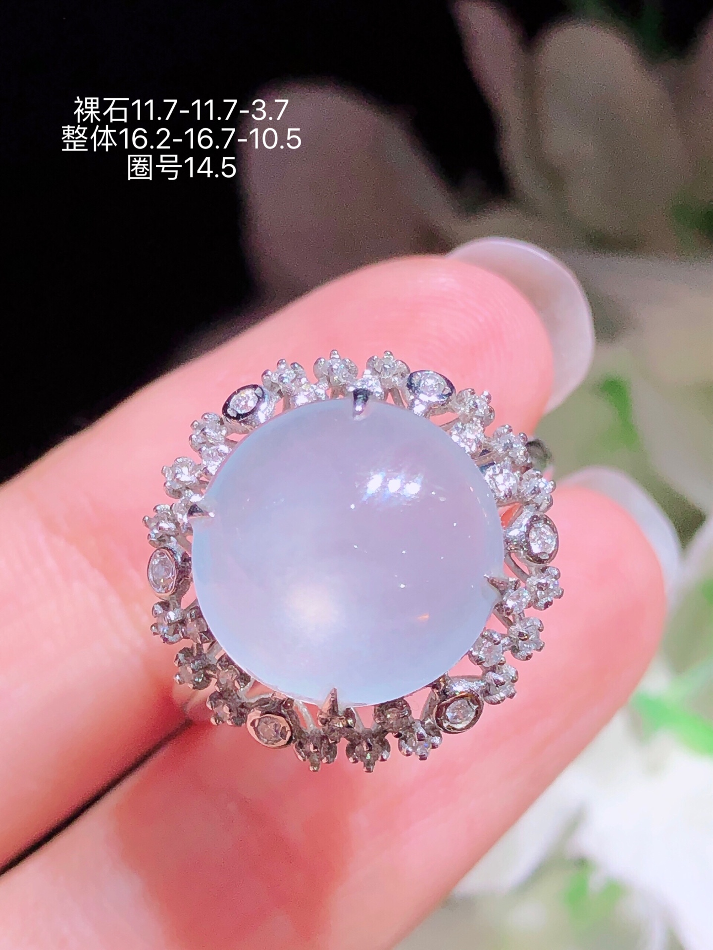 ️18K金镶 冰种蛋面戒指 无裂 水润色艳 品相饱满 苹果拍摄，实物更好看，11.7-11.7-3