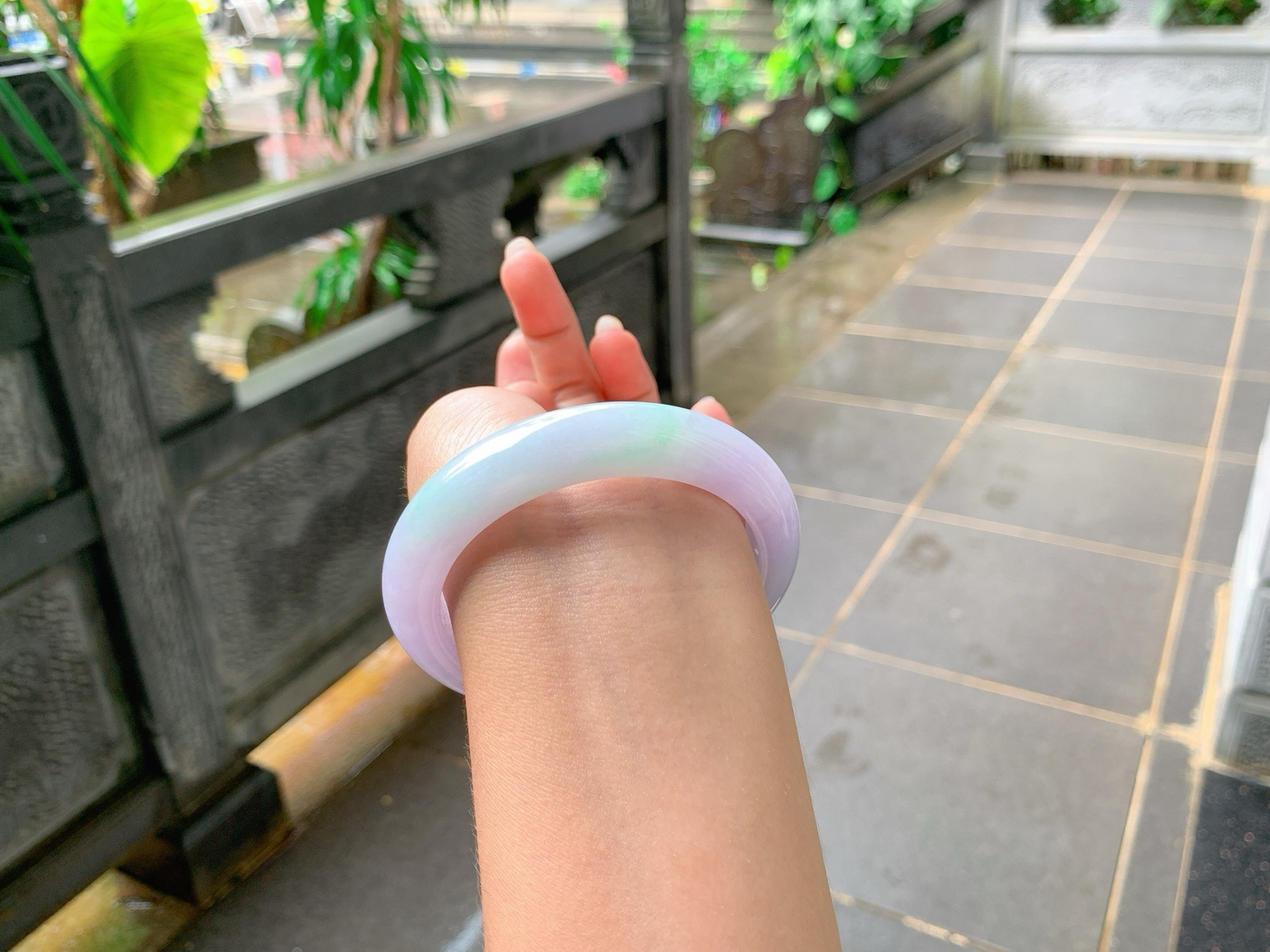⏳｜58圈口
粉春，飘绿丝丝花，色泽娇嫩可爱，仙仙粉粉的，秀美端庄，