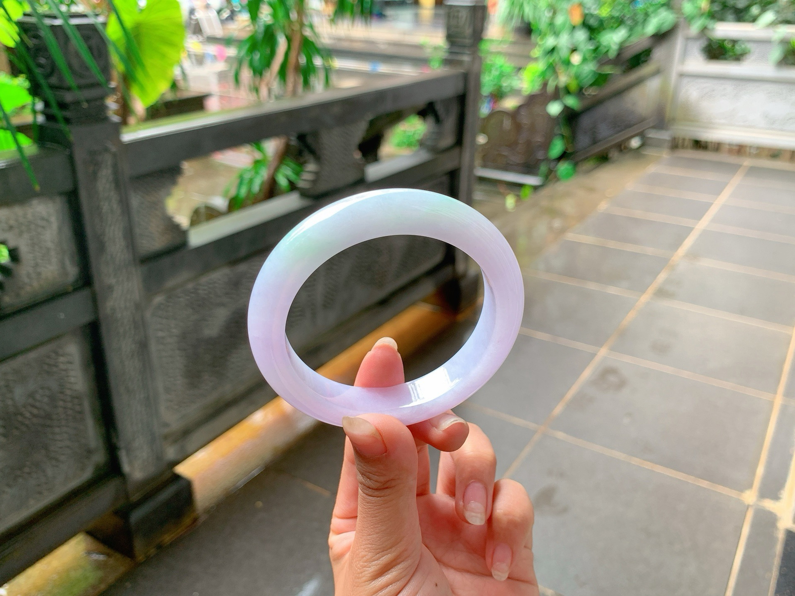 ⏳｜58圈口
粉春，飘绿丝丝花，色泽娇嫩可爱，仙仙粉粉的，秀美端庄，