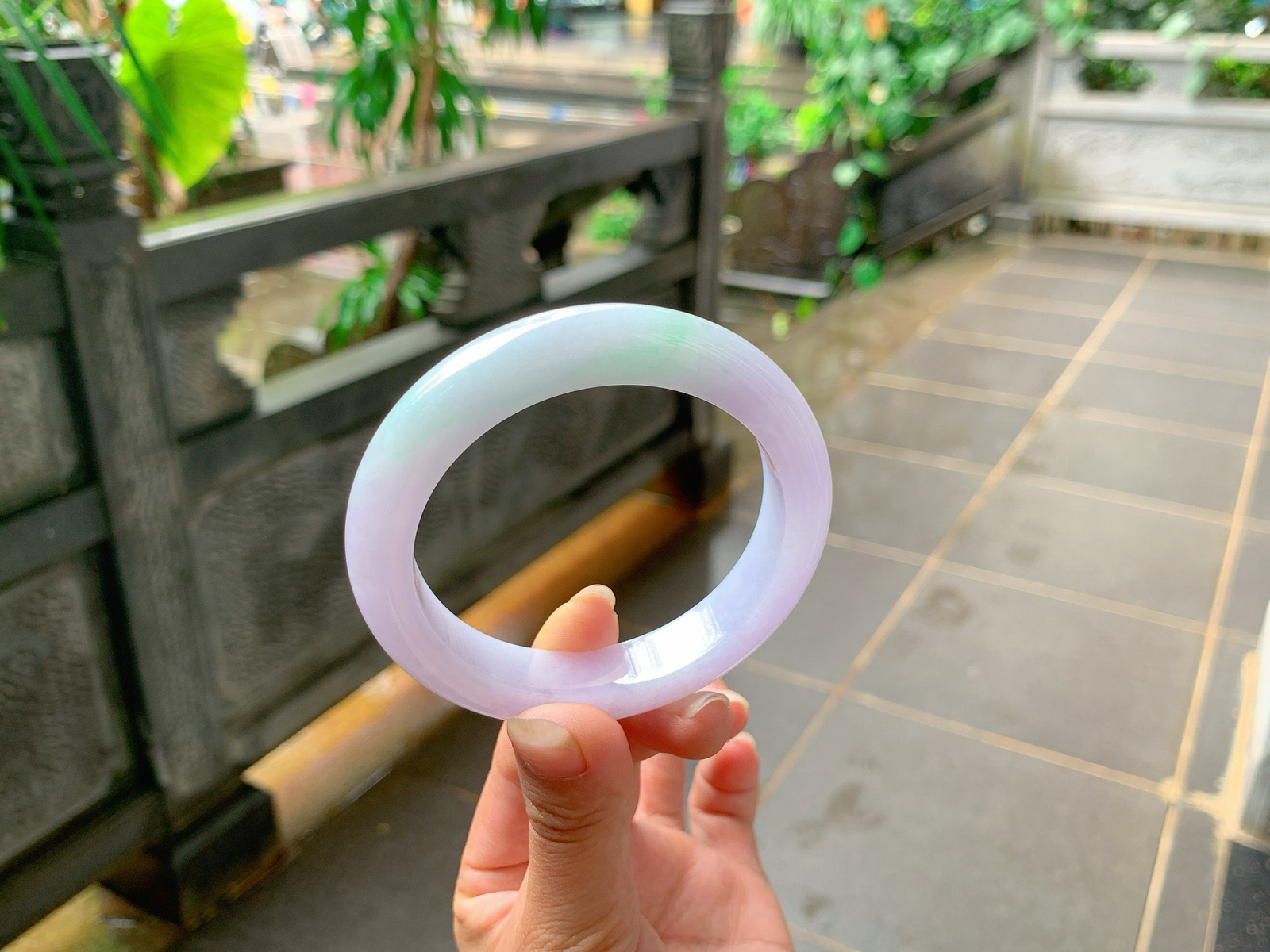 ⏳｜58圈口
粉春，飘绿丝丝花，色泽娇嫩可爱，仙仙粉粉的，秀美端庄，