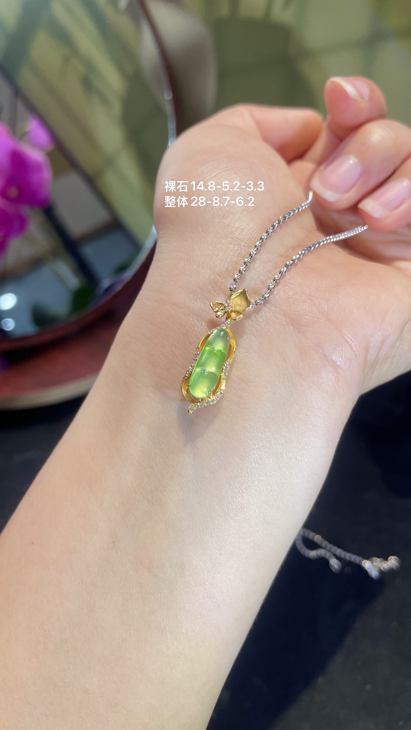 ️ 福豆，14.8-5.2-3.3