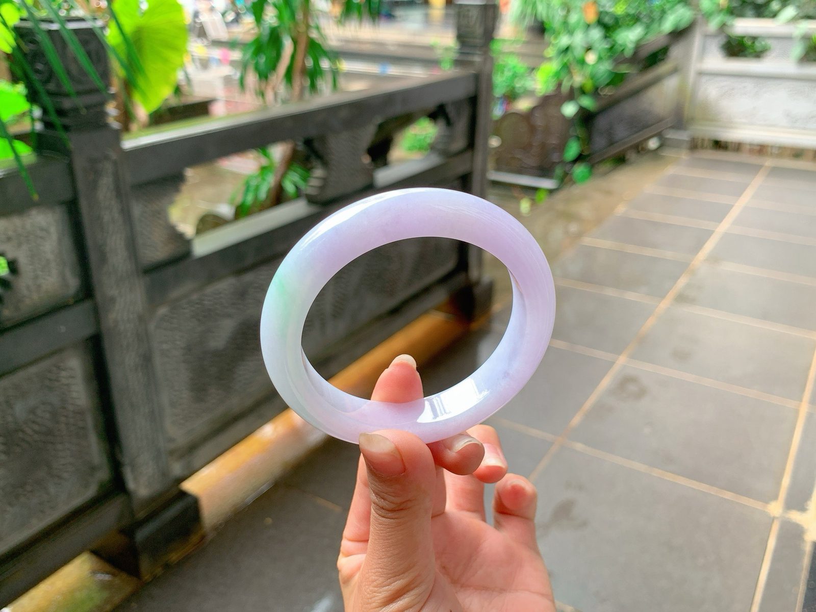 ⏳｜58圈口
粉春，飘绿丝丝花，色泽娇嫩可爱，仙仙粉粉的，秀美端庄