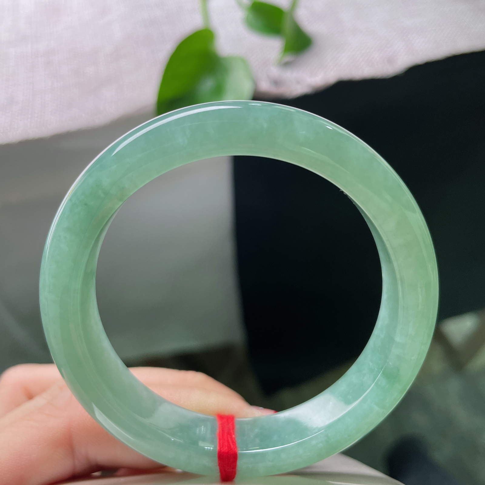54/12.1/8.3，满绿正圈，无纹裂，一镯匀润满湖翠，清莹绿意绕腕，满目温润春光，ss55042a