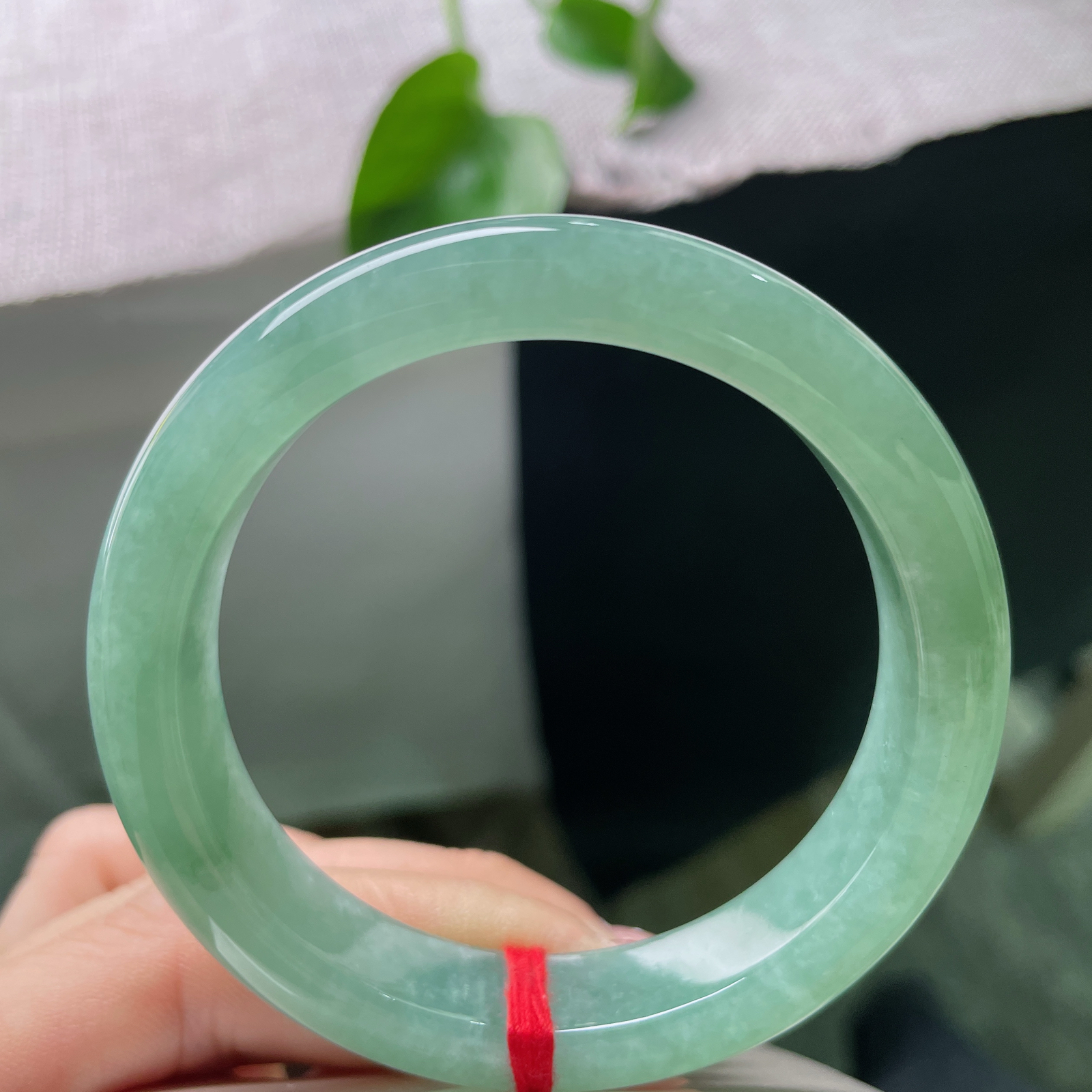 54/12.1/8.3，满绿正圈，无纹裂，一镯匀润满湖翠，清莹绿意绕腕，满目温润春光，ss55042a