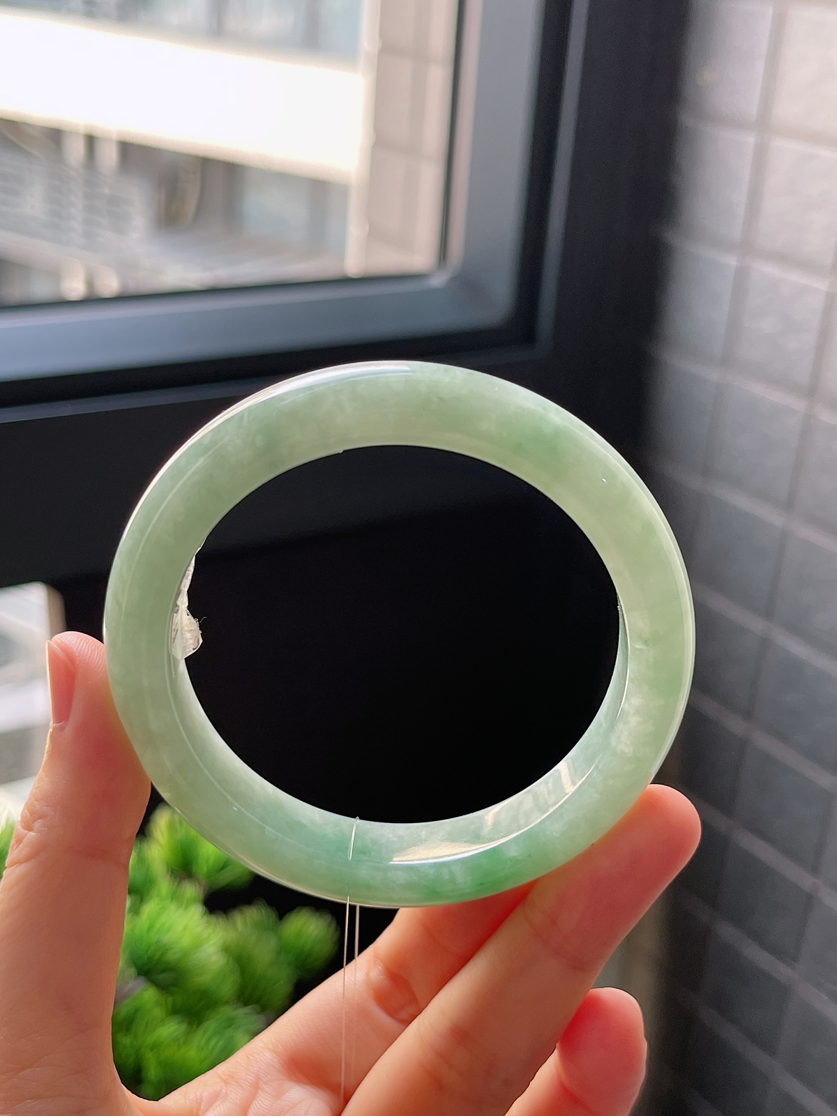 正圈55.1圈口，翡翠糯化种飘花手镯