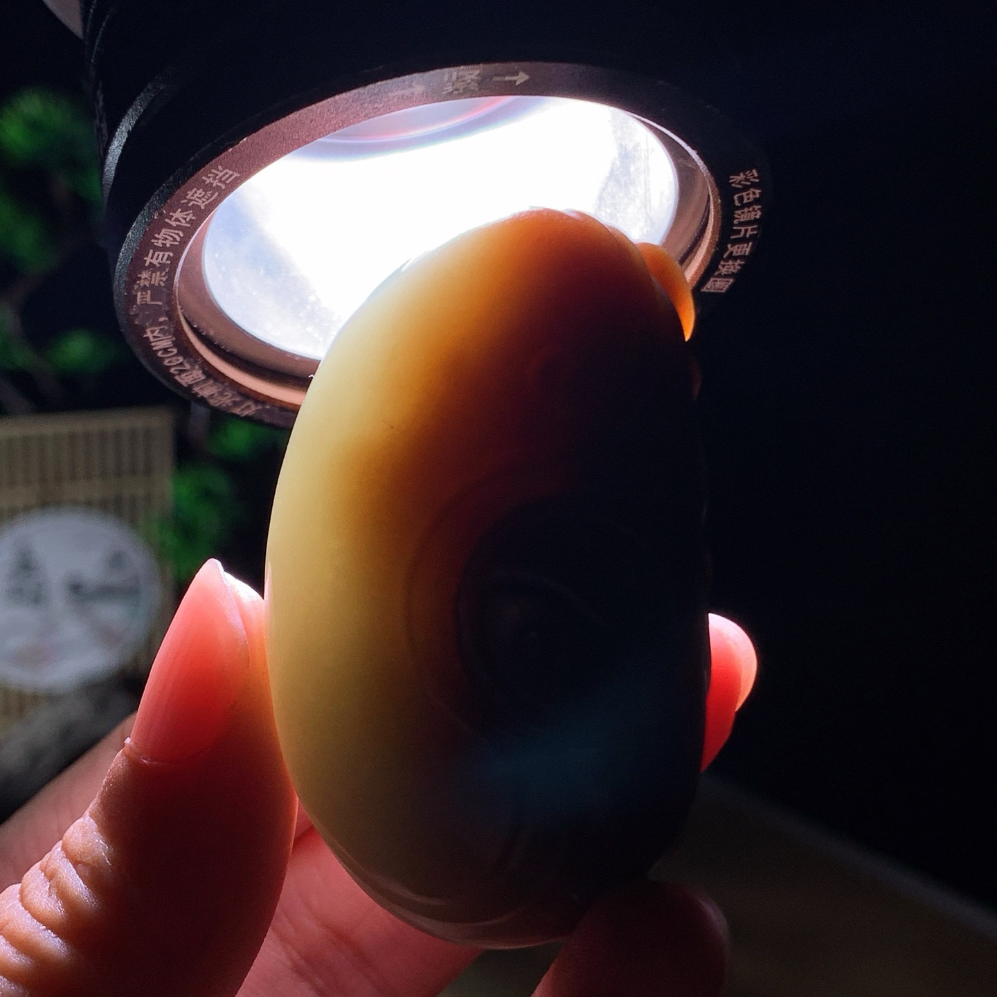 新疆和田玉且末料扭转乾坤牛挂件！尺寸54/33/21重62克 玉质细腻油润 底色纯净 脂粉好，品质好。lt260625