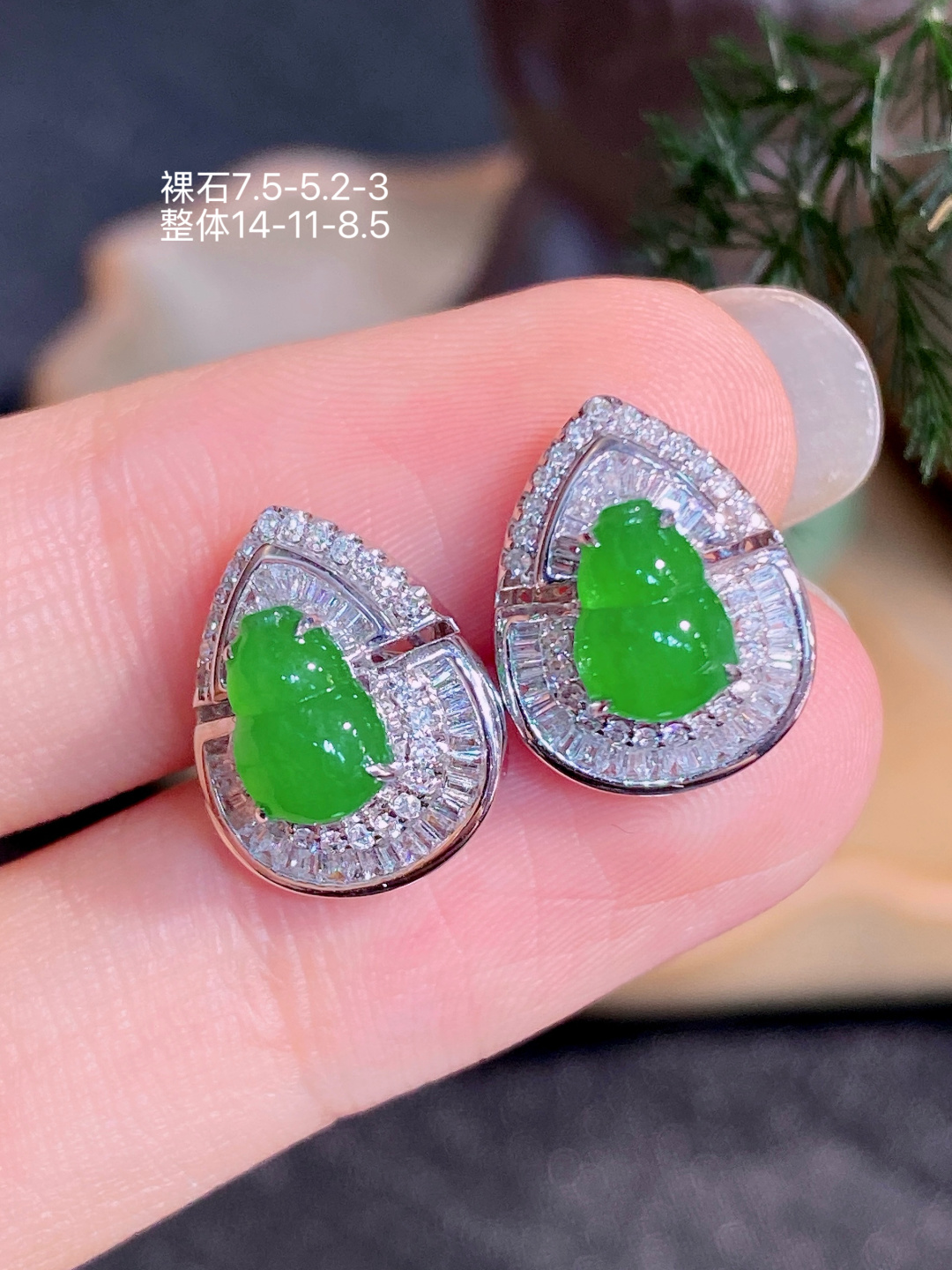 18K金镶  阳绿葫芦耳钉 无裂 水润色艳 品相饱满 苹果拍摄，实物更好看，7.5-5.2-3