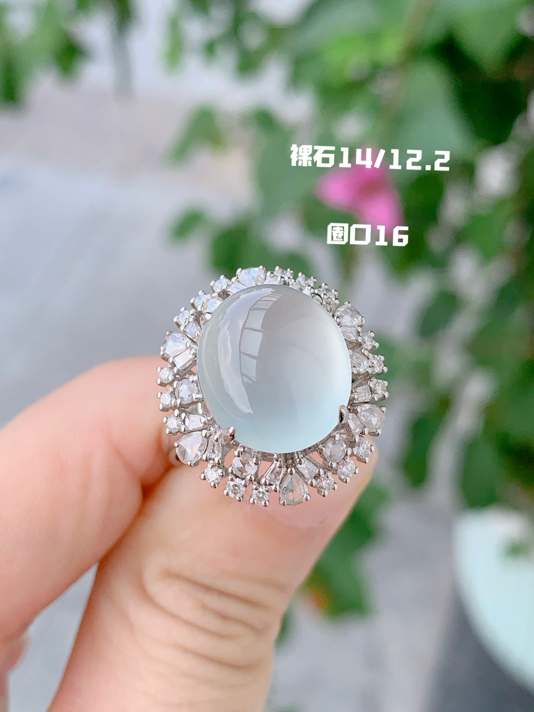 ️冰种蛋面戒指｜冰冰透透，起光发亮，14-12.2