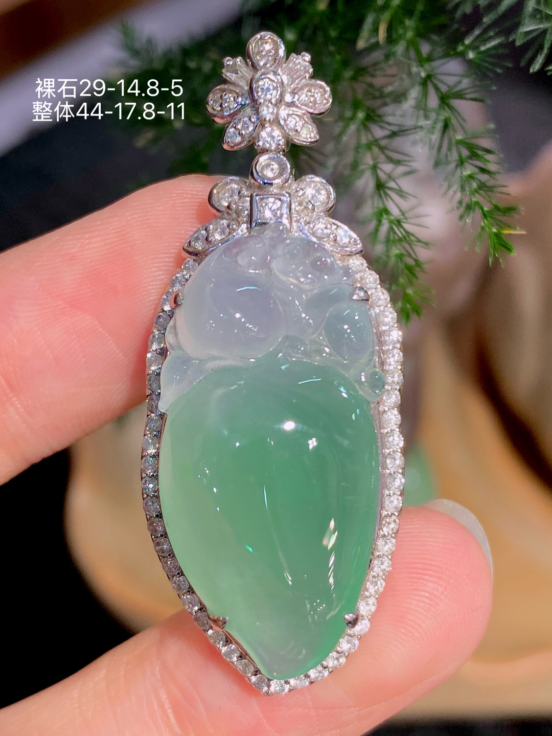 18K金镶 冰绿灵猴献寿吊坠 无裂 水润色艳 品相饱满 配送银链 苹果拍摄，实物更好看，29-14.