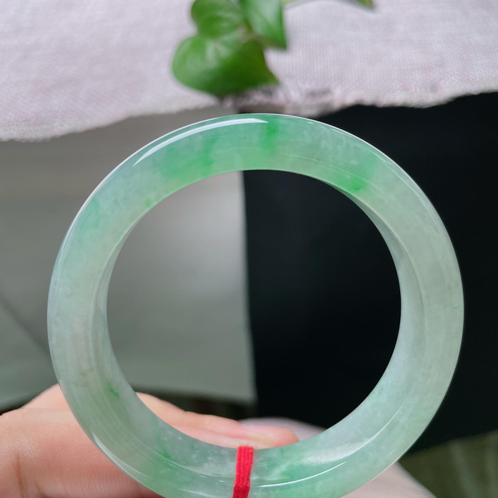 51.3/12.4/8.3，冰绿正圈，晶体感，种老，玉面莹亮水光潋滟，翠色灵动流转，周身柔光漫溢尽显