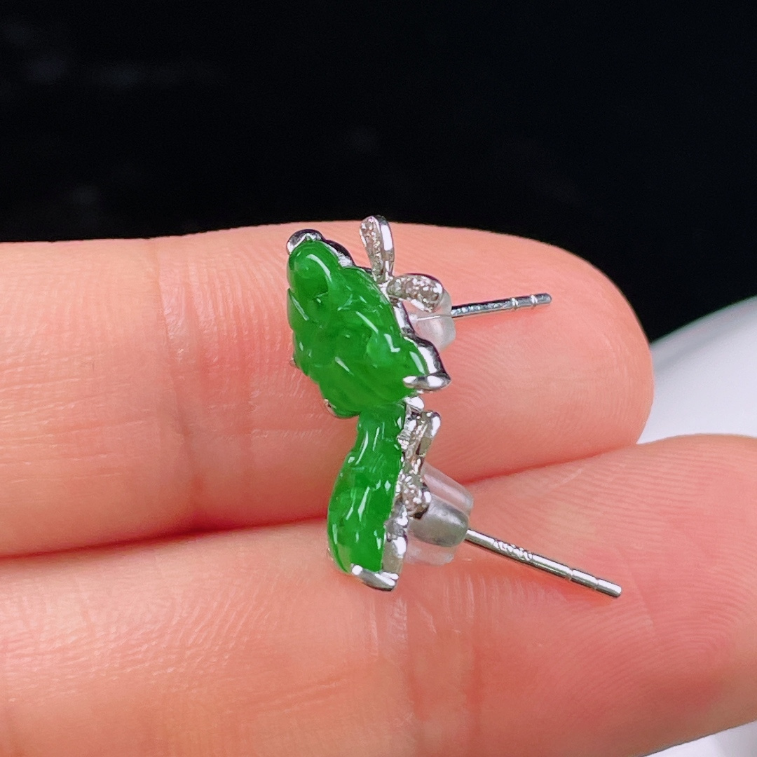 ️冰绿耳钉，老种起光 ，细底通透，尺寸：9.2/11.5/3mm0704