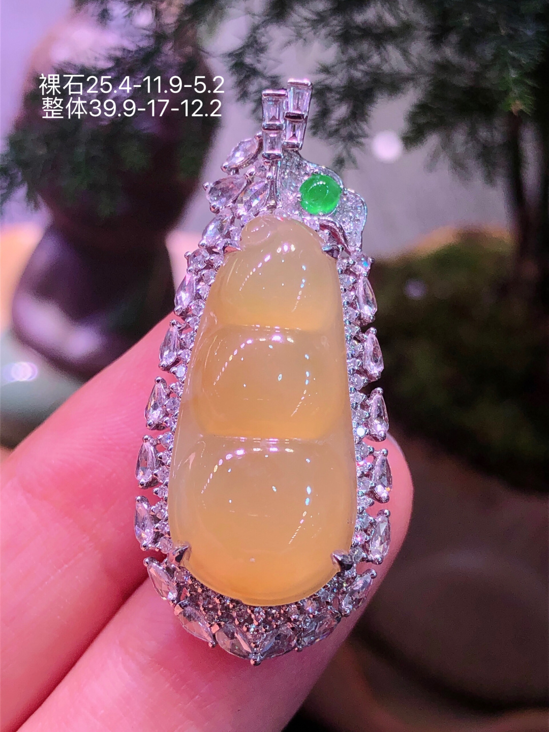 18K金镶 冰黄福豆吊坠 水润色艳 品相饱满 配送银链苹果拍摄，实物更好看，25.4-11.9-5.
