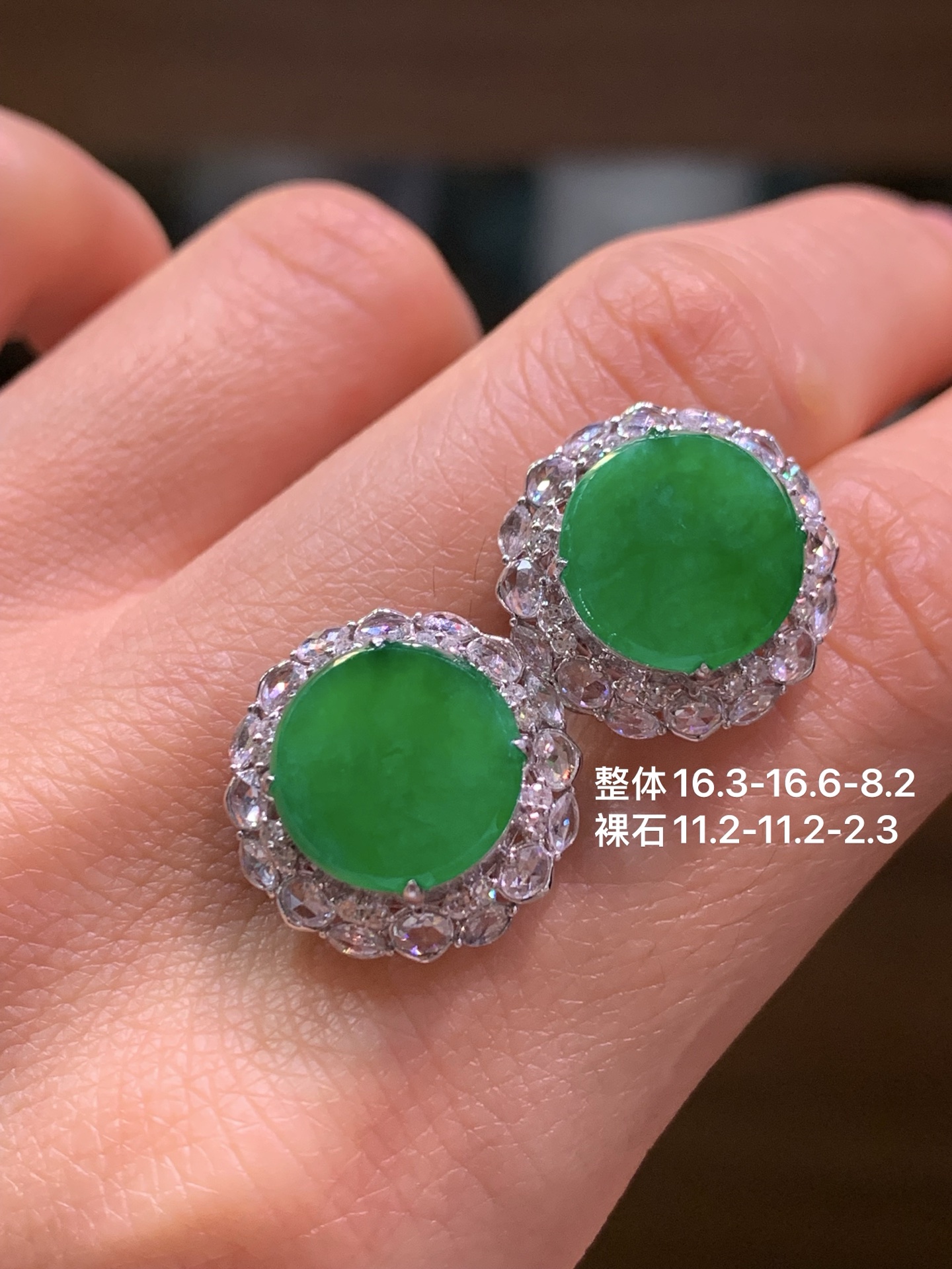 ️ 满绿大圆牌耳钉，16.3-16.6-8.2