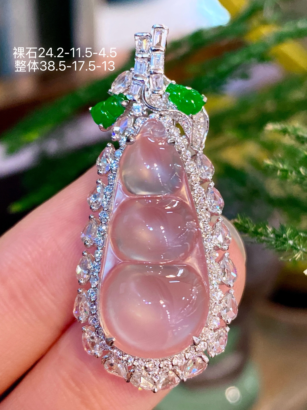 18K金镶 冰种福豆吊坠 无裂 水润色艳 品相饱满 配送银链苹果拍摄，实物更好看，24.2-11.5