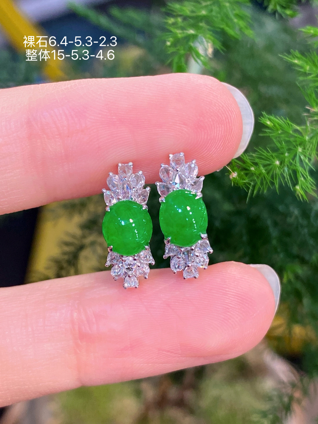 18K金镶  阳绿蛋面耳包 无裂 水润色艳 品相饱满 苹果拍摄，实物更好看，6.4-5.3-2.3