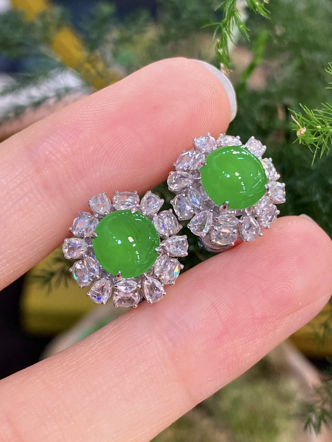 18K金镶 阳绿蛋面耳包 无裂 水润色艳 品相饱满 苹果拍摄，实物更好看，7.6-7.6-3.5