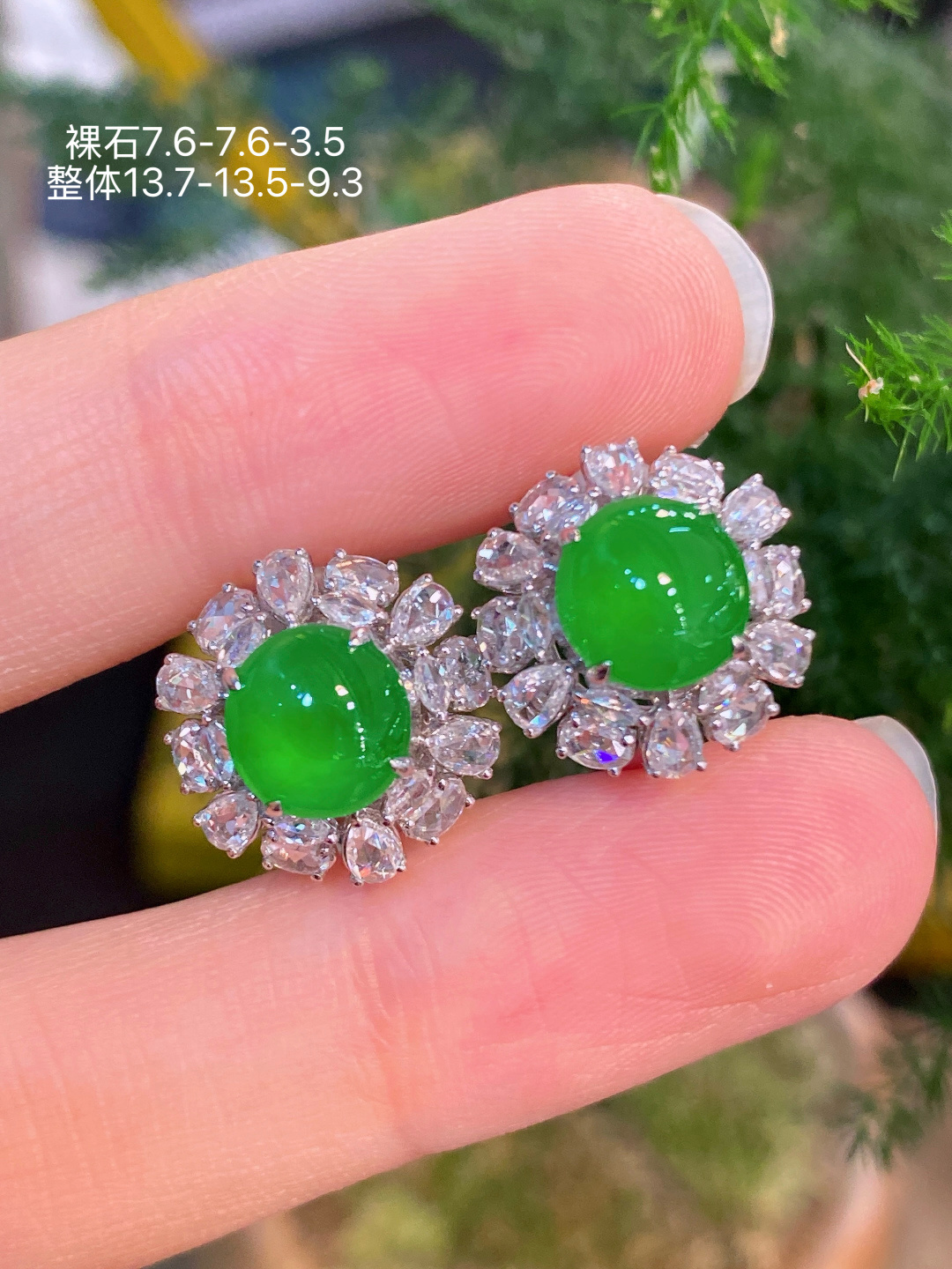 18K金镶 阳绿蛋面耳包 无裂 水润色艳 品相饱满 苹果拍摄，实物更好看，7.6-7.6-3.5