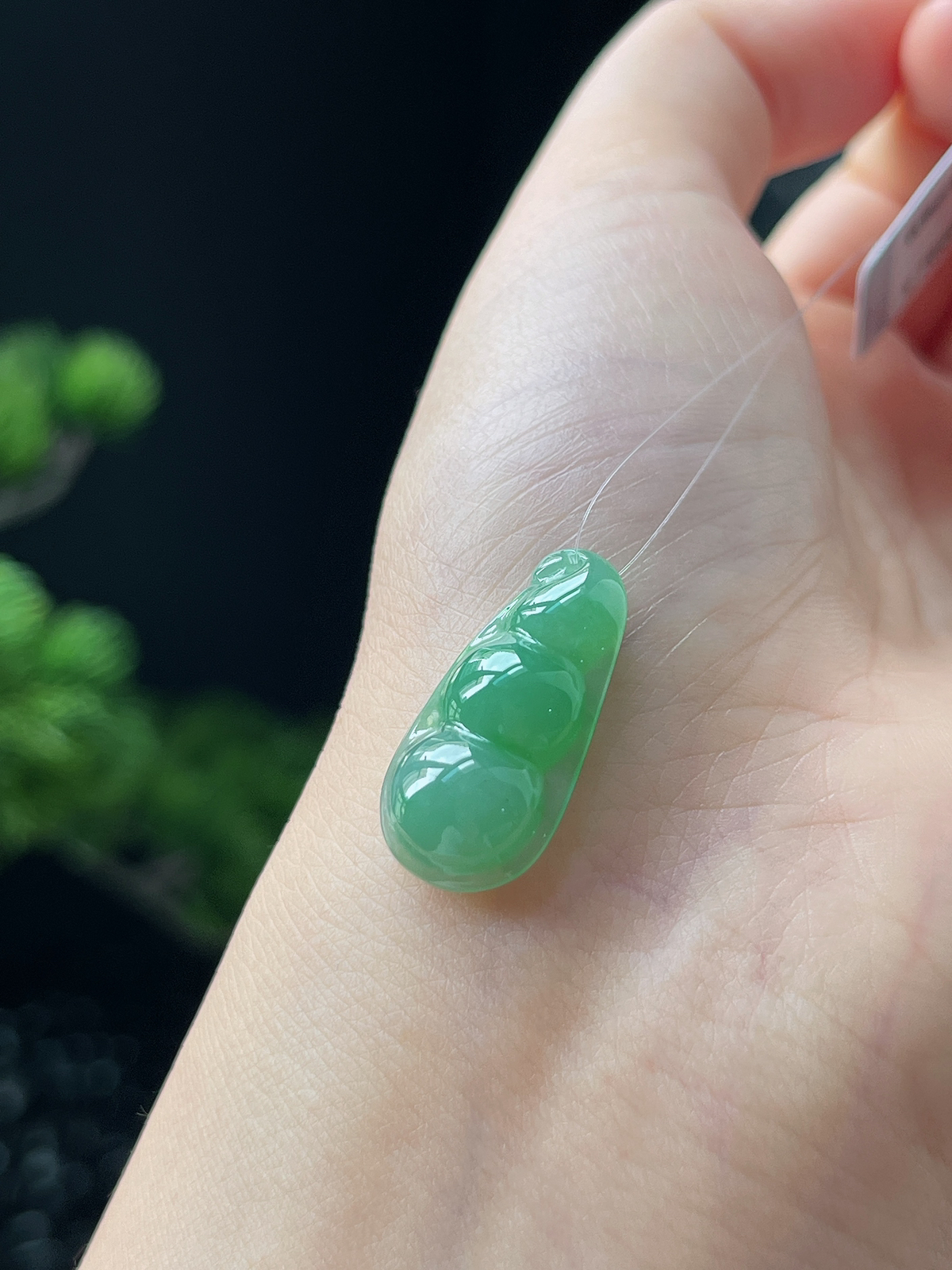 翡翠冰糯种飘绿福豆挂件