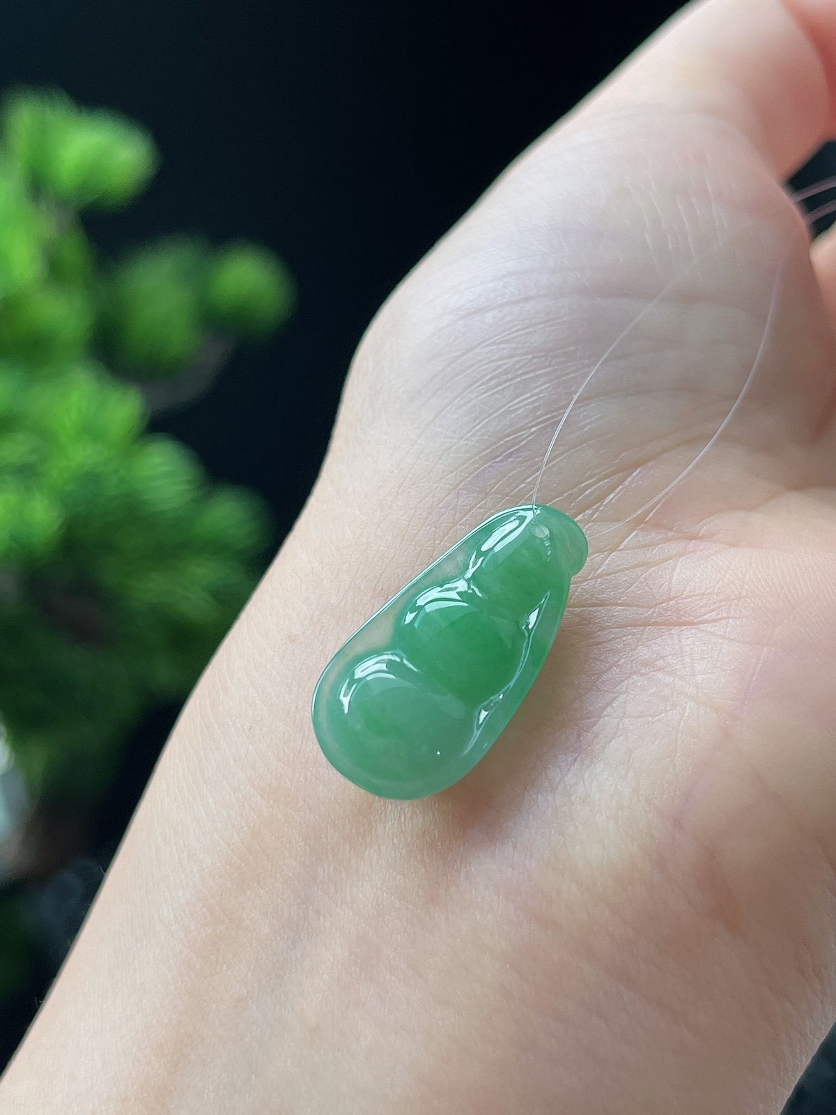 翡翠冰糯种飘绿福豆挂件