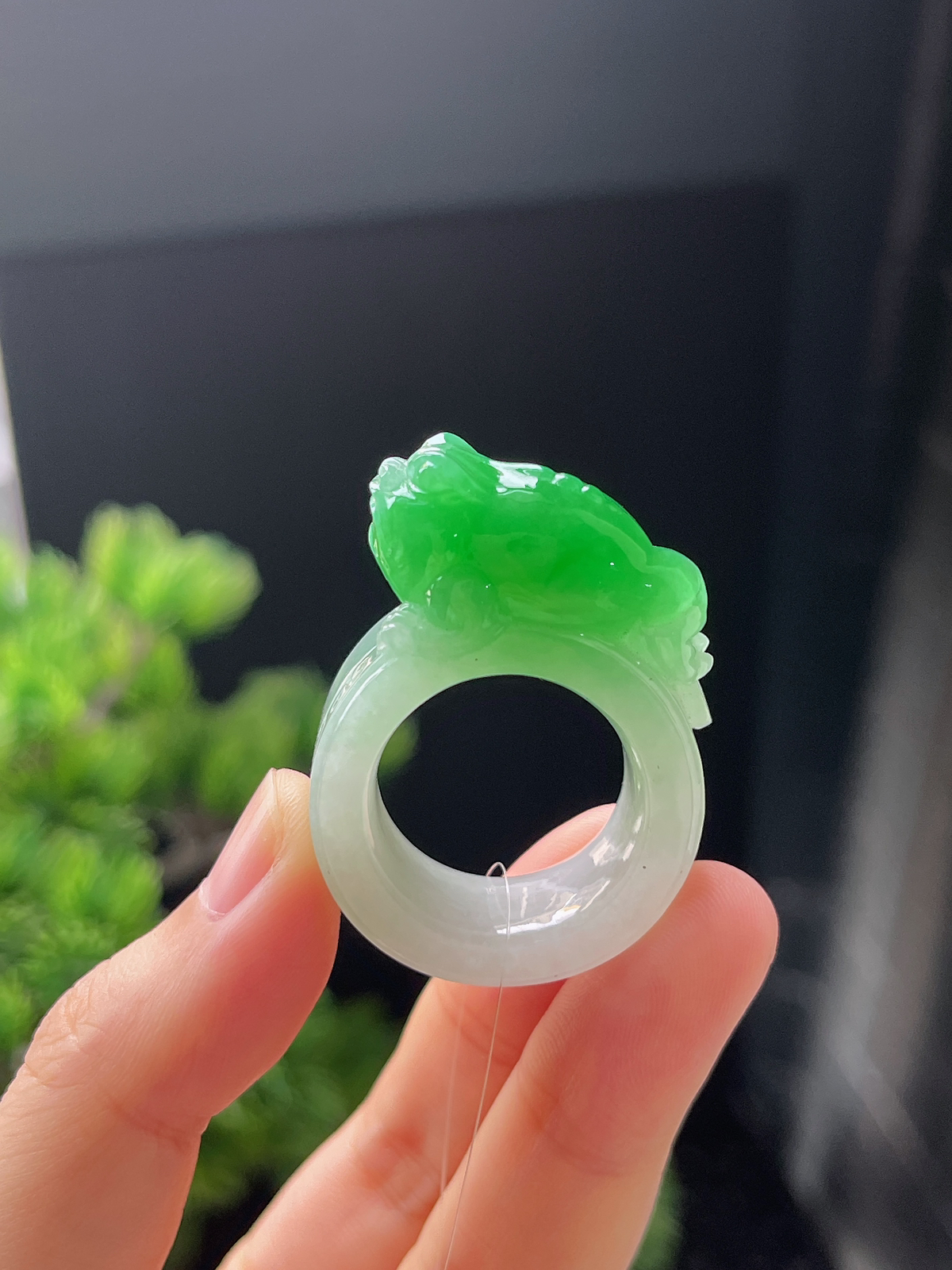 翡翠阳绿蟾蜍扳指