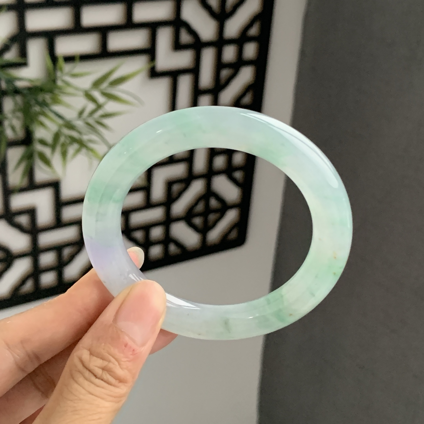 070732JM 春彩圆条翡翠手镯 54.2-10.1
